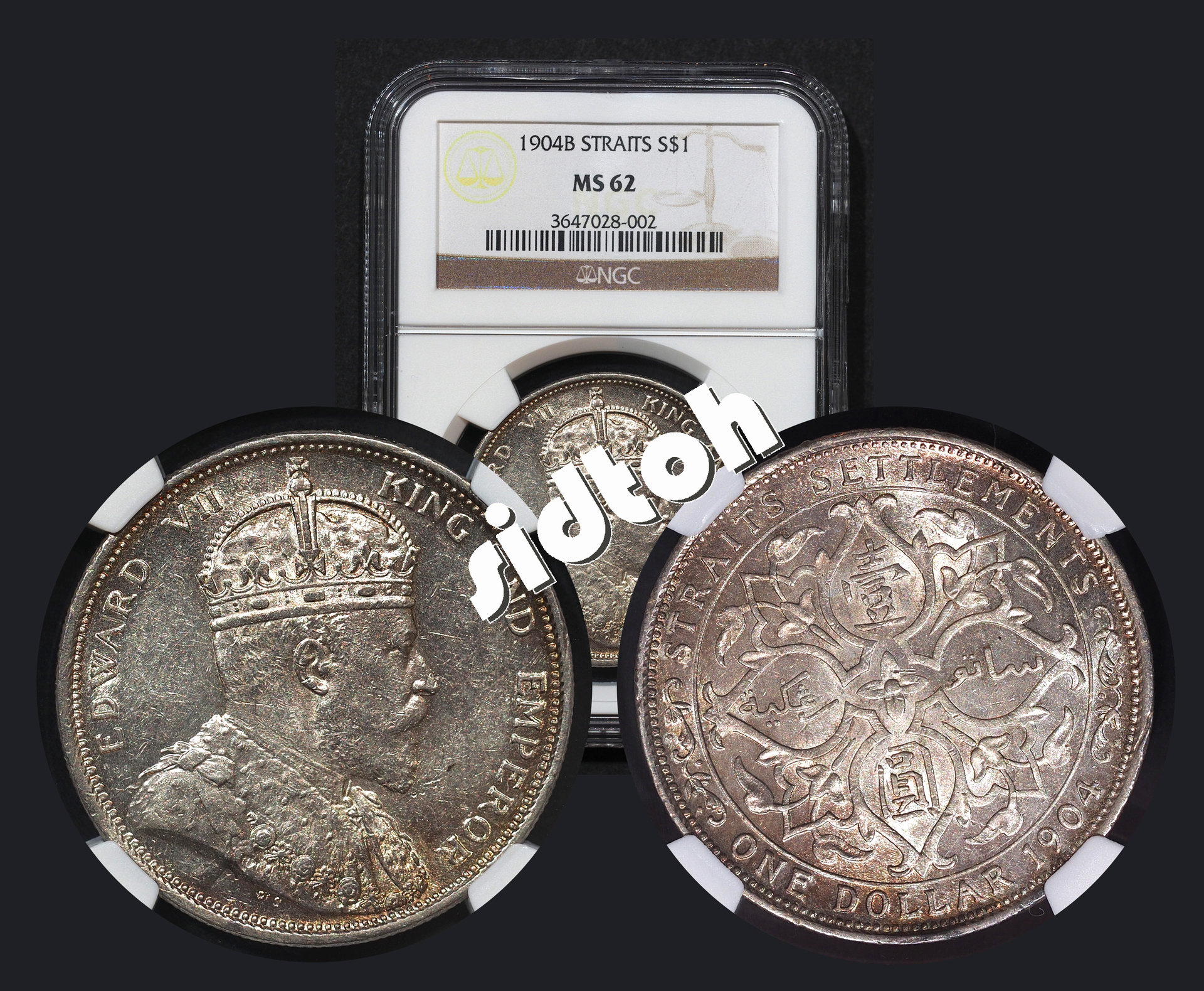 KEDVII 1904 1 Dollar MS62 NGC3647028-002_Display.jpg