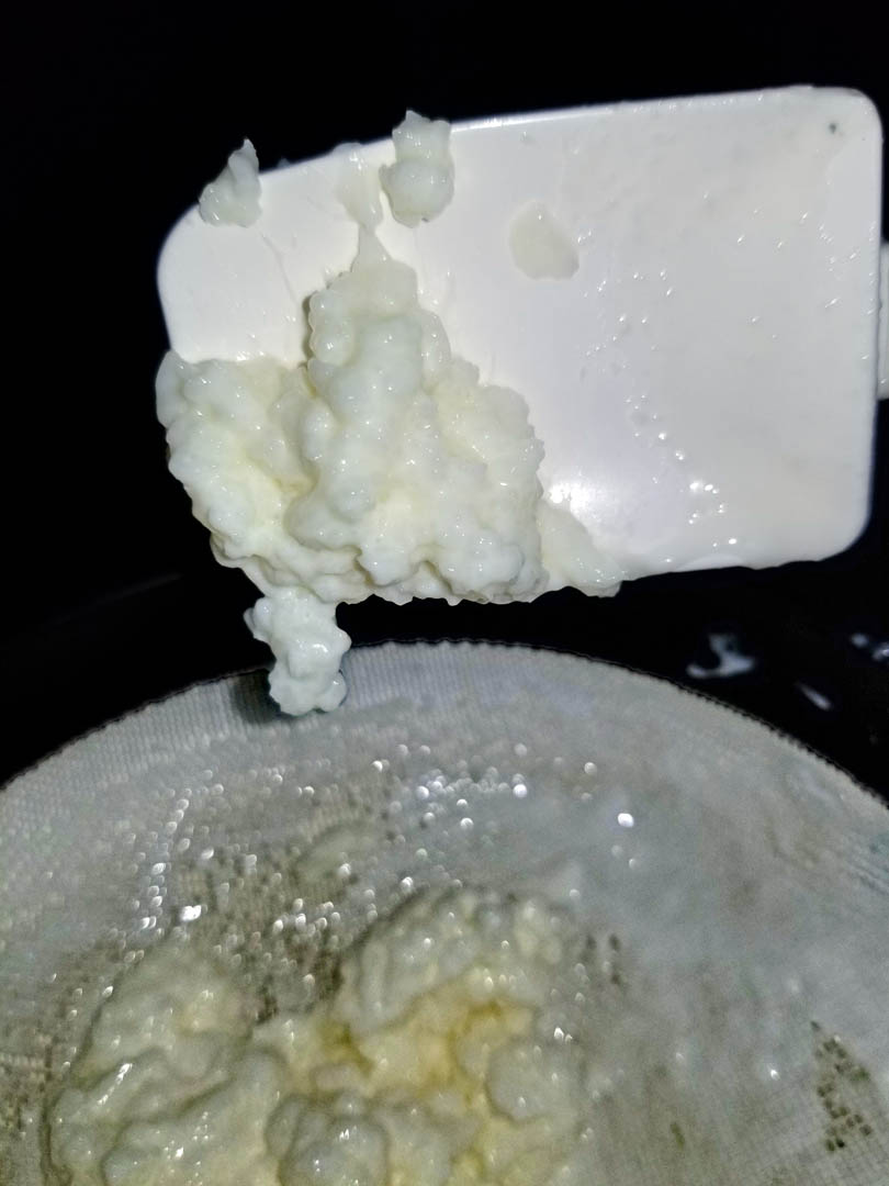 kefir301.jpg