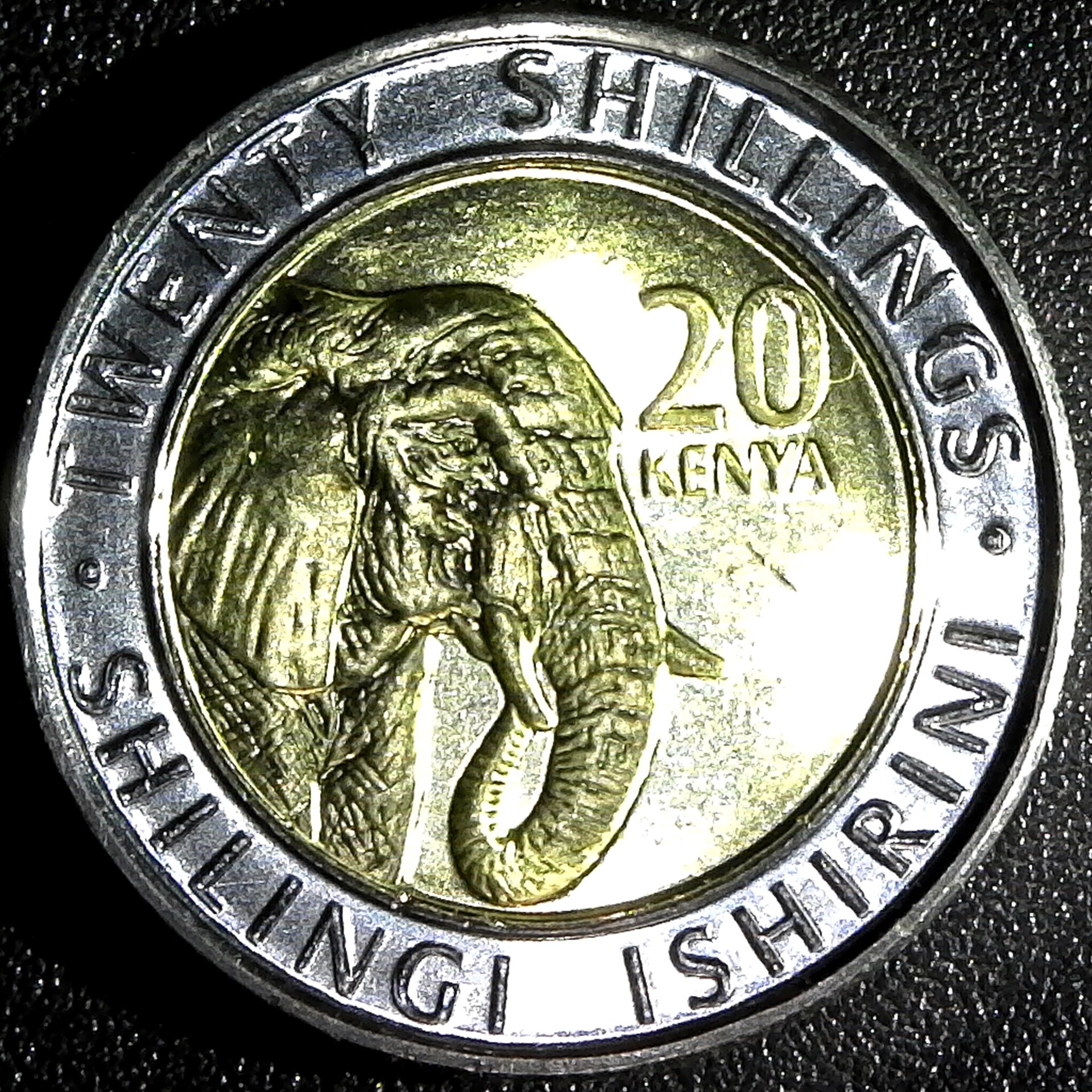 Kenya 20 shillings 2018 rev.jpg