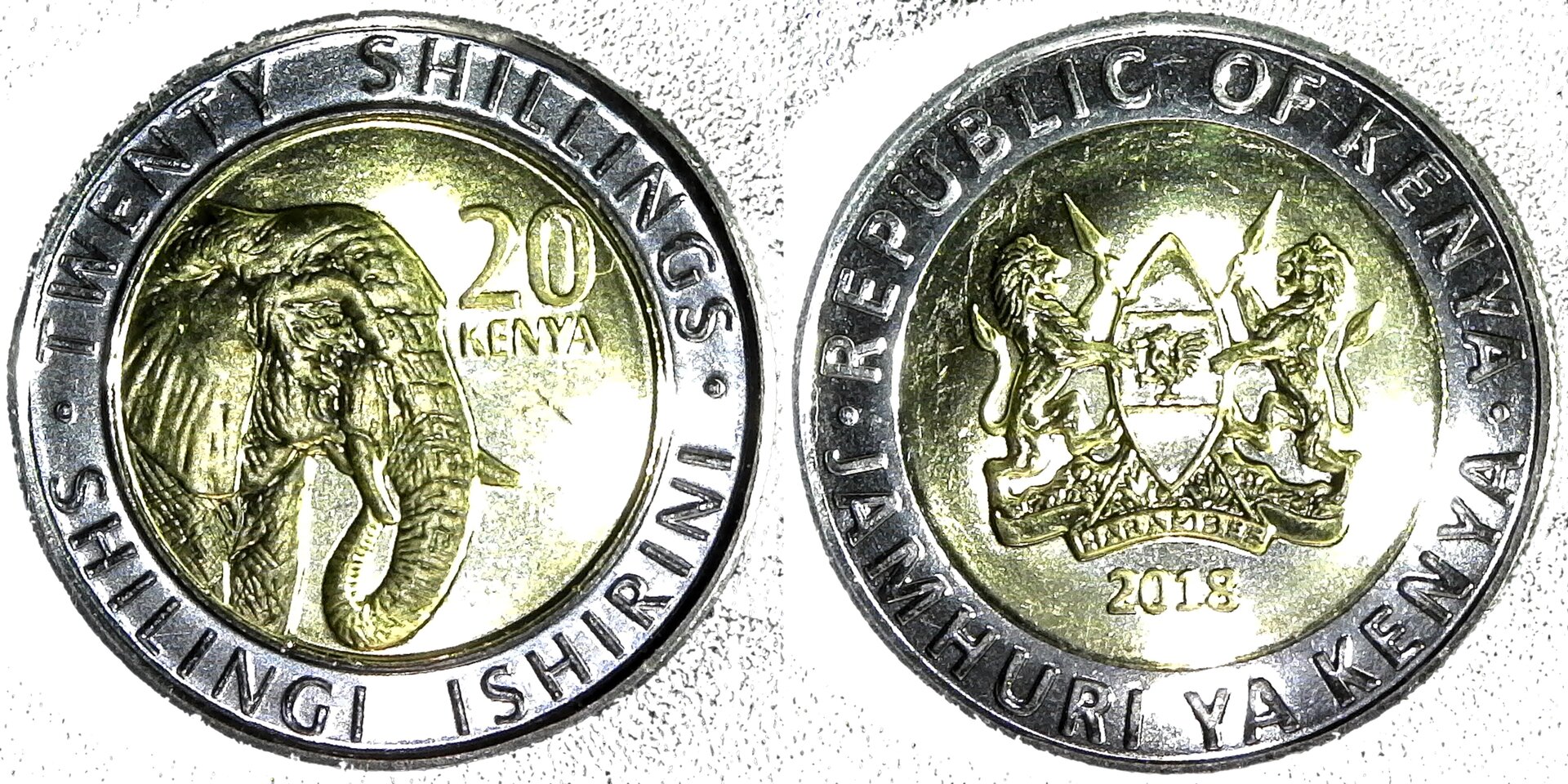 Kenya 20 shillings 2018 rev-side-cutout.jpg