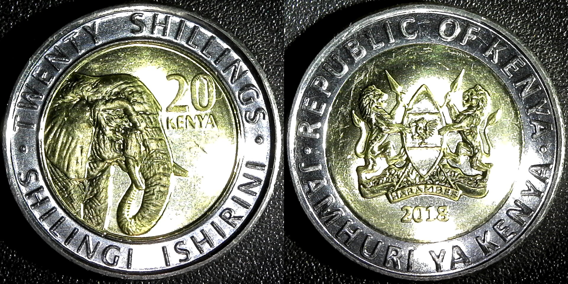 Kenya 20 shillings 2018 rev-side.jpg