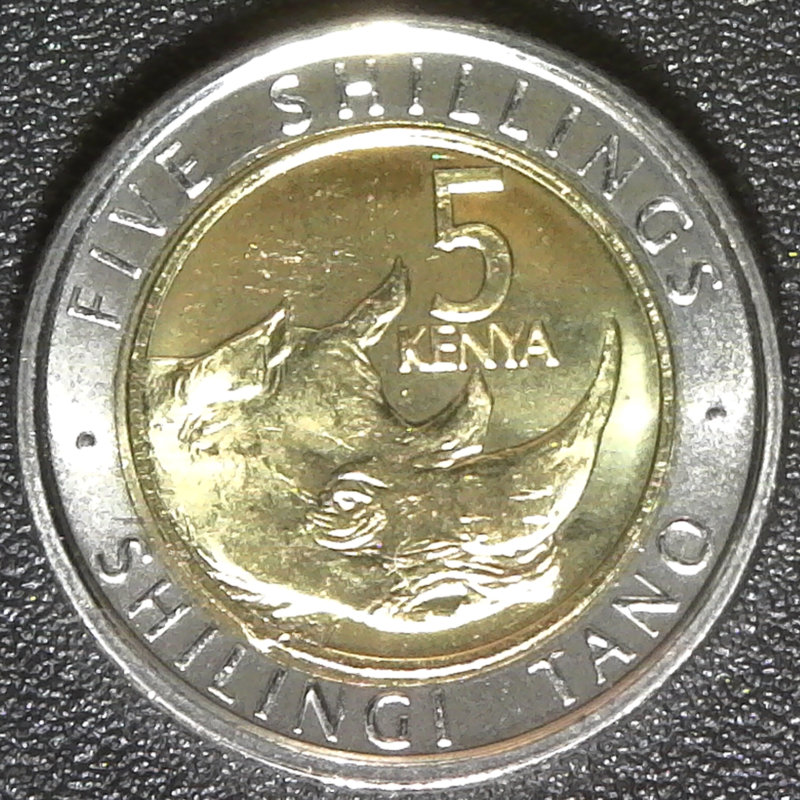 Kenya 5 shillings 2018 rev.jpg