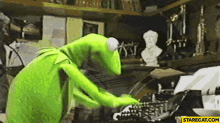 kermit-the-frog-typing (1).gif