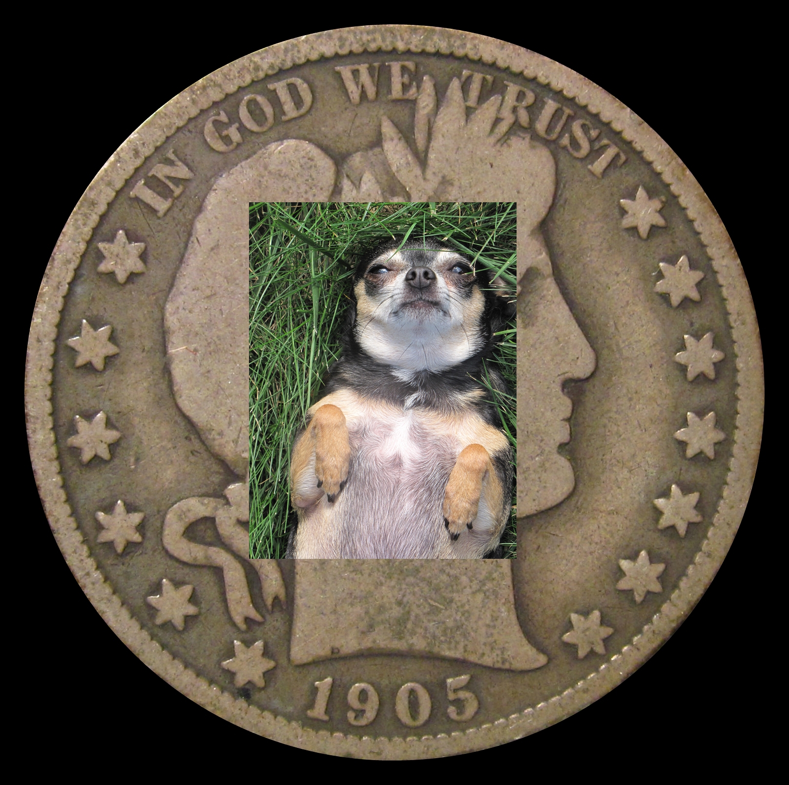 $(KGrHqVHJCkFHm41gc(qBSB-72udRQ~~60_57.JPG