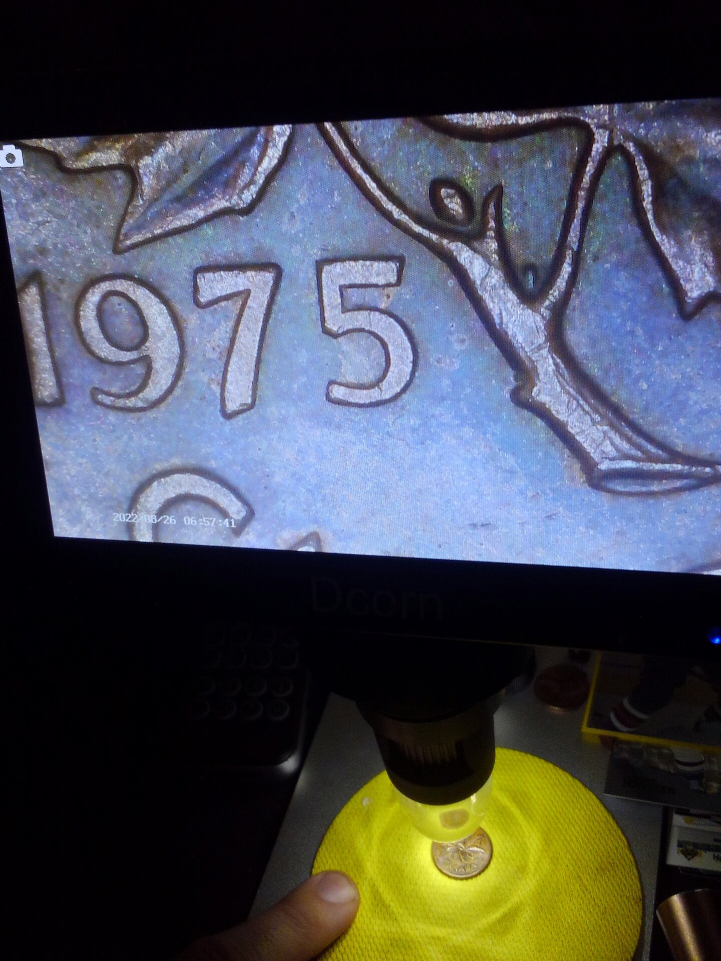 KIMG0261.JPG