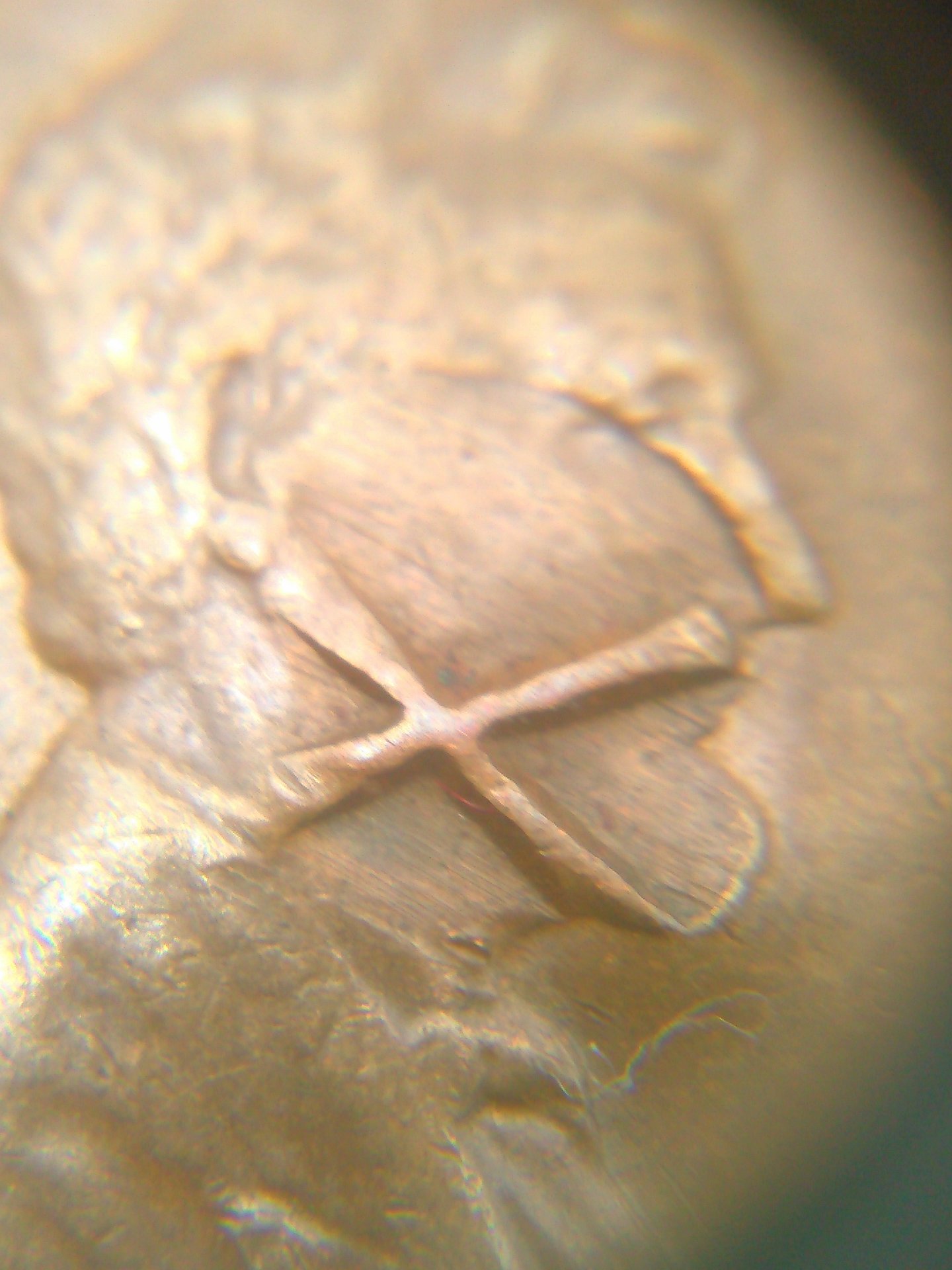 KIMG0325.jpg