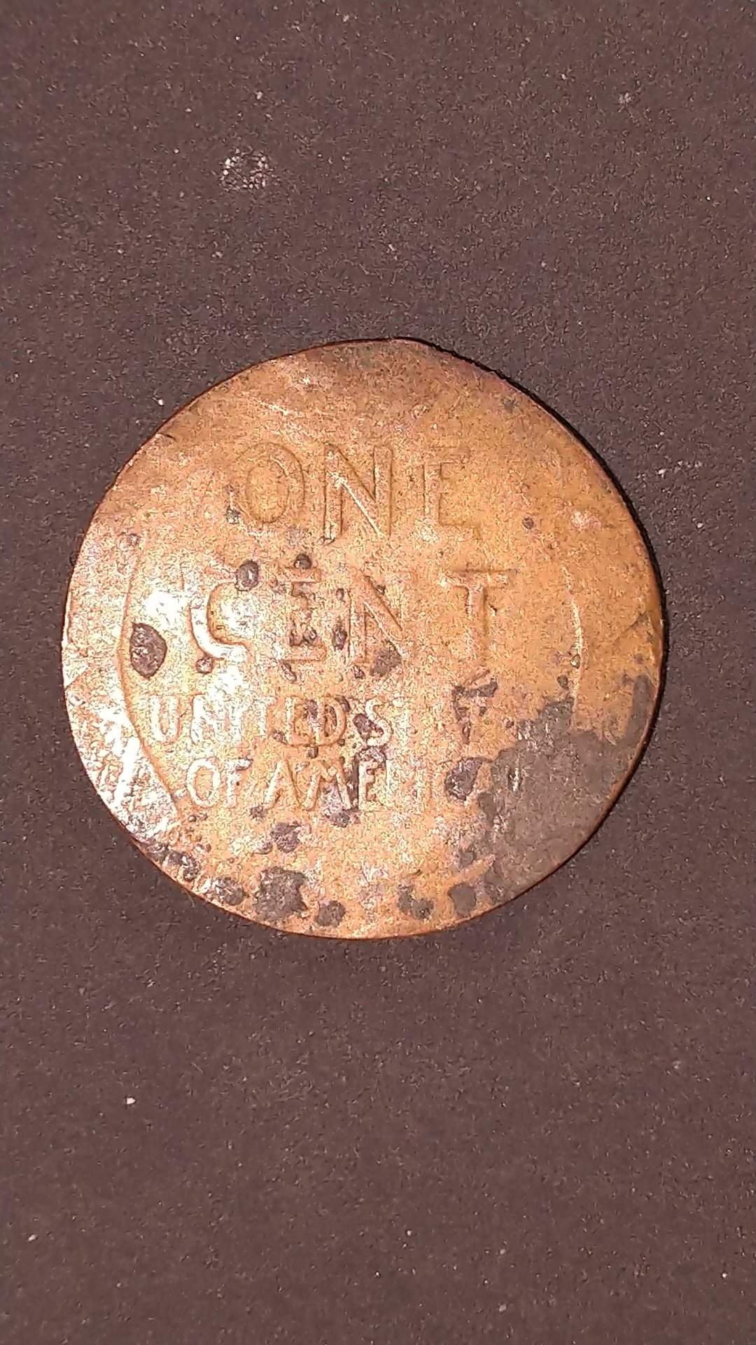 KIMG0834.JPG