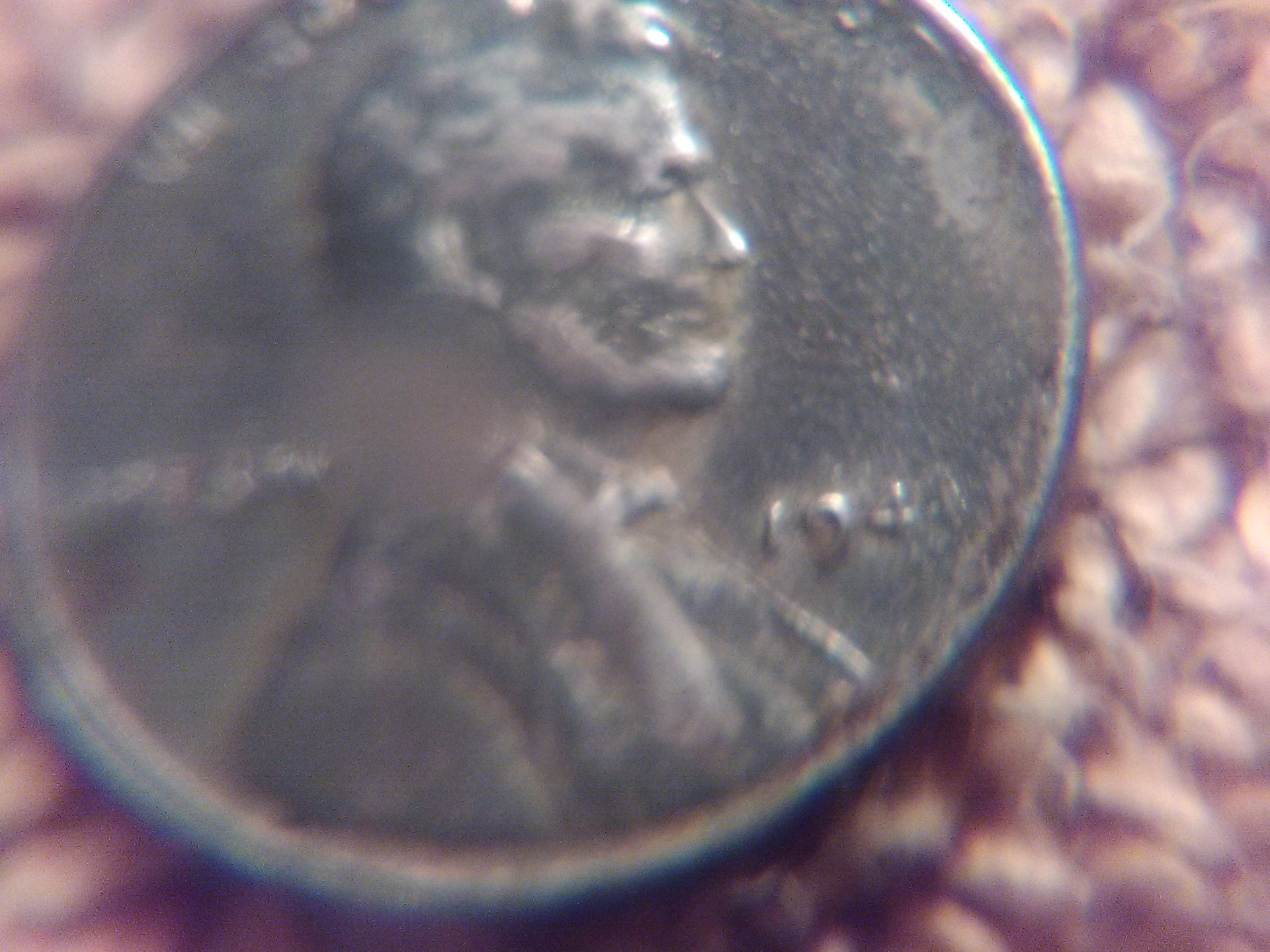 KIMG0970.JPG