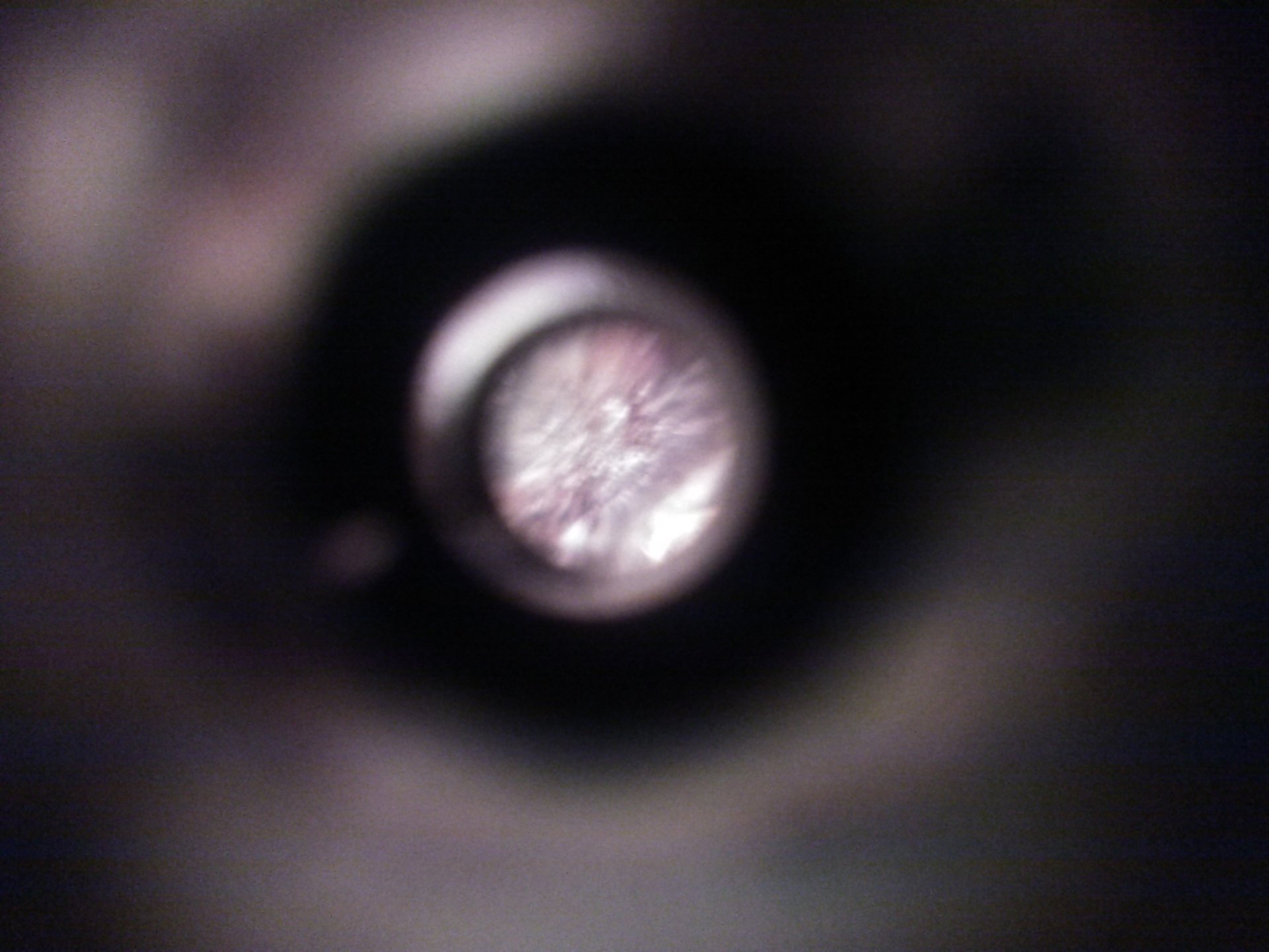KIMG0974.JPG