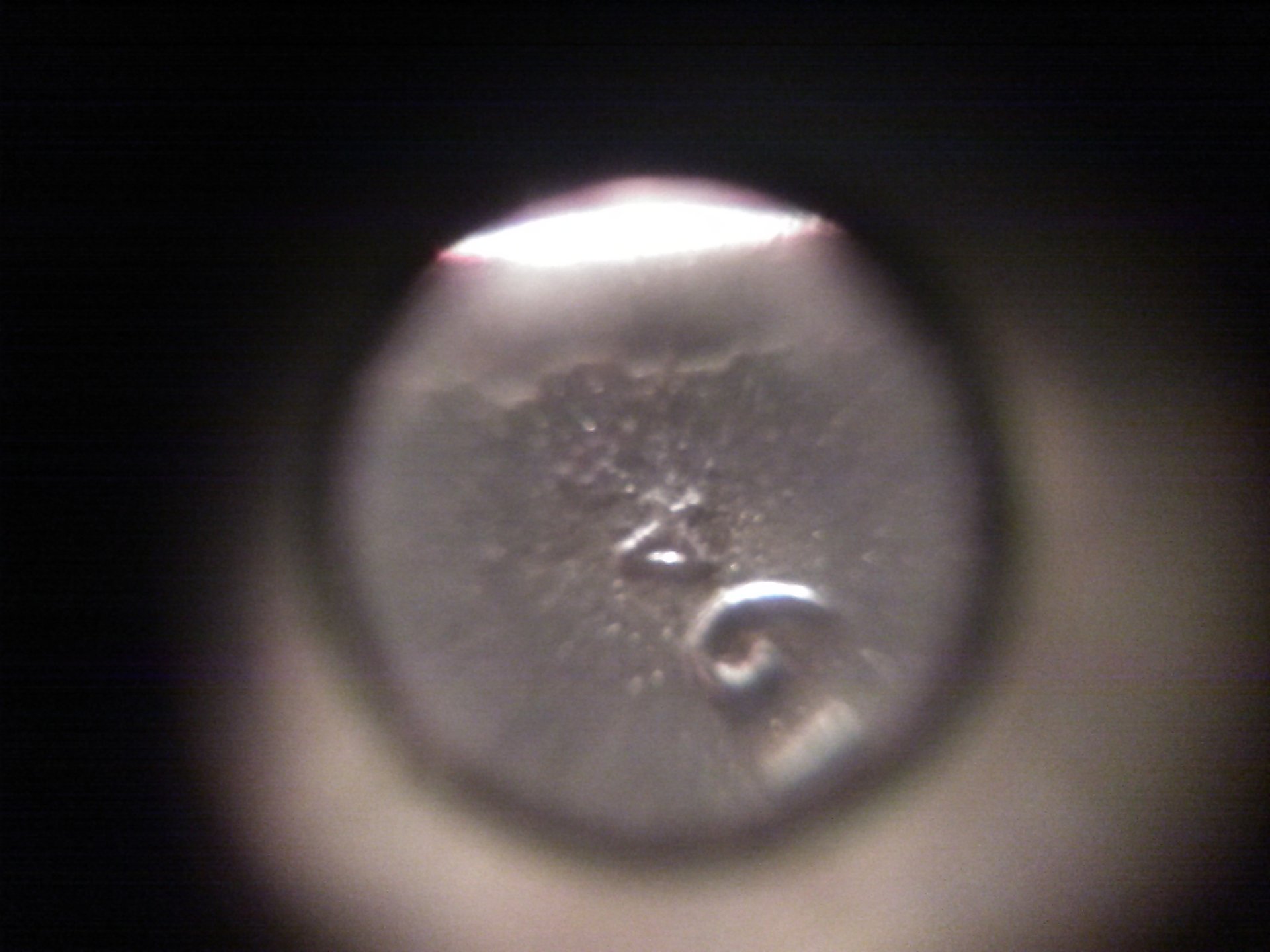 KIMG0985.JPG