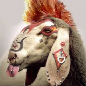 king of the goats 2.jpg