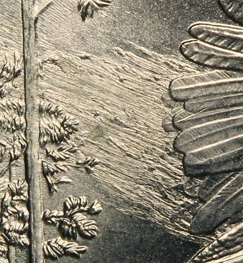 kisatchie-detail.jpg