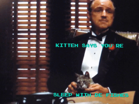 kitteh and godfather.gif