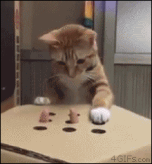 kitty-whack-a-mole1.gif