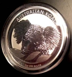 koala.jpg
