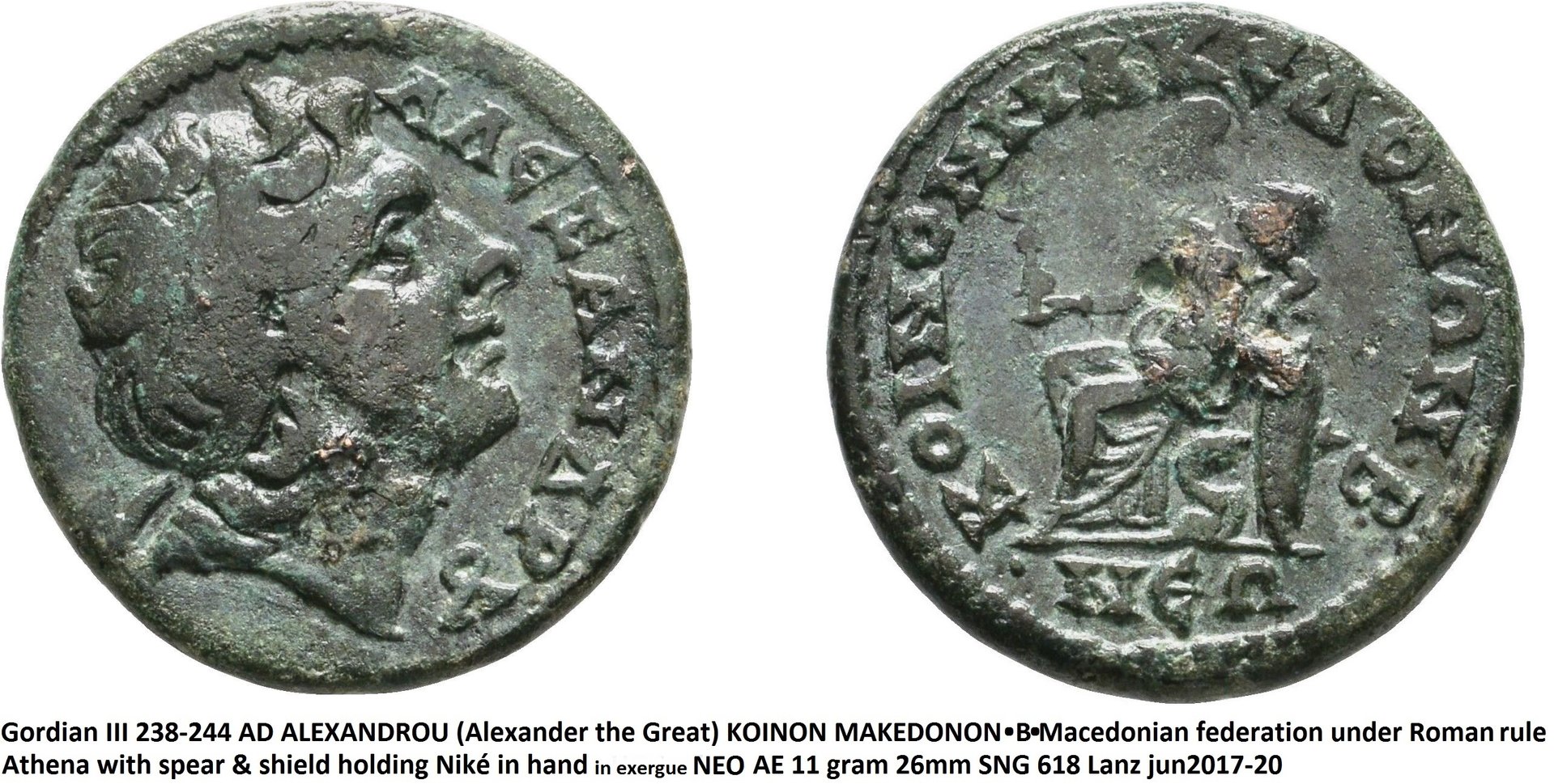 Koinon Alexander vz.jpg