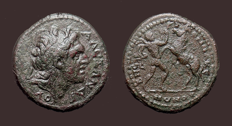 KoinonMacedonBucephalus.jpg