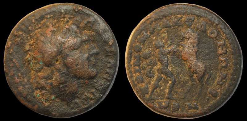 KoinonMacedonBucephalus-LG.jpg