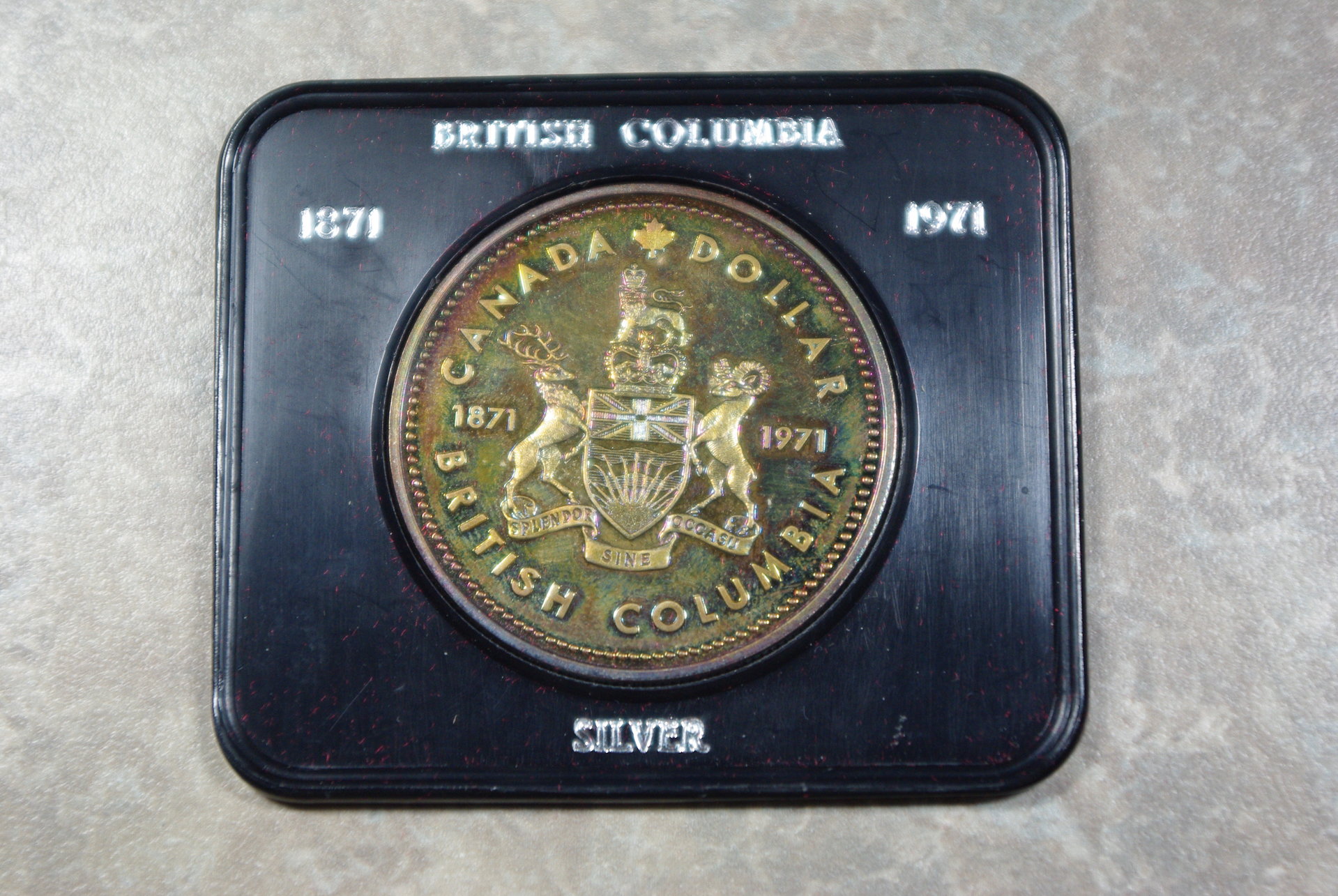 kookaburra 006.jpg