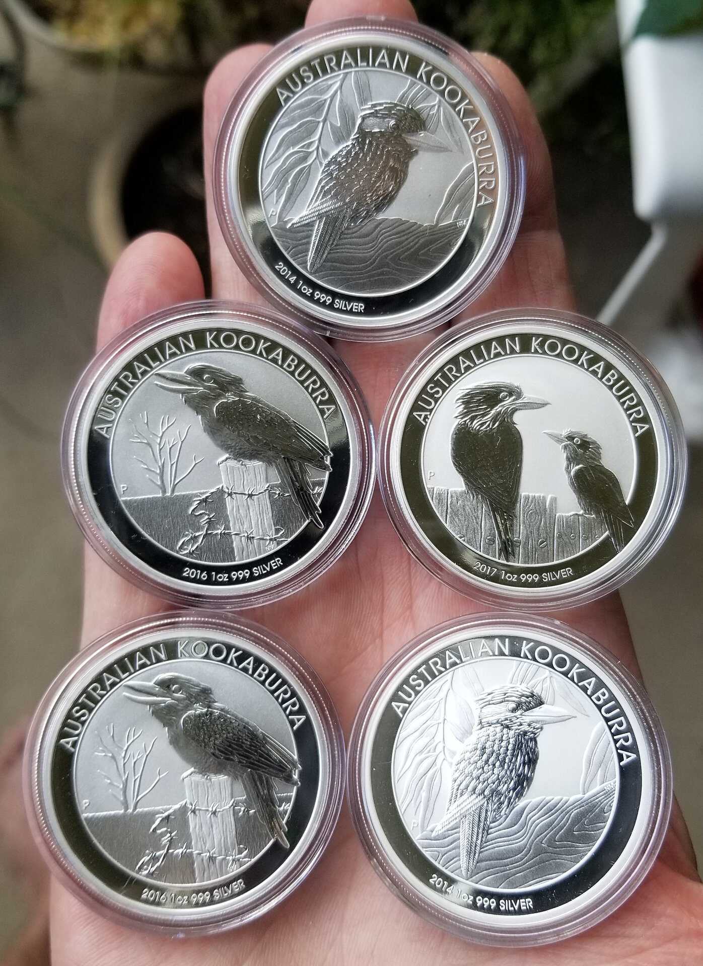 Kookaburras Silver 5 Silver Ounces.jpg