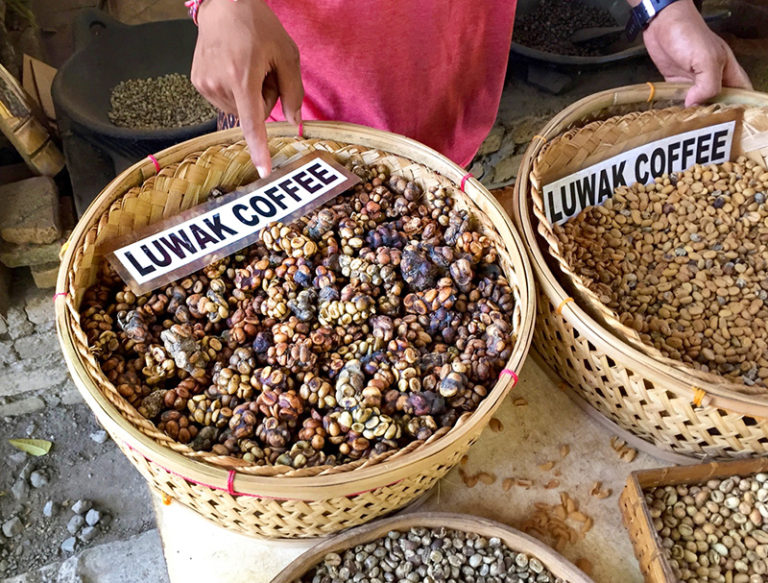 kopi-luwak-coffee-768x583.jpg