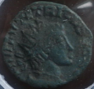 KP golub 25 eur A.jpg