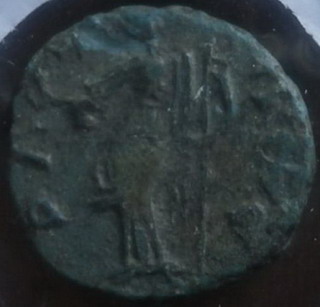 KP golub 25 eur B.jpg