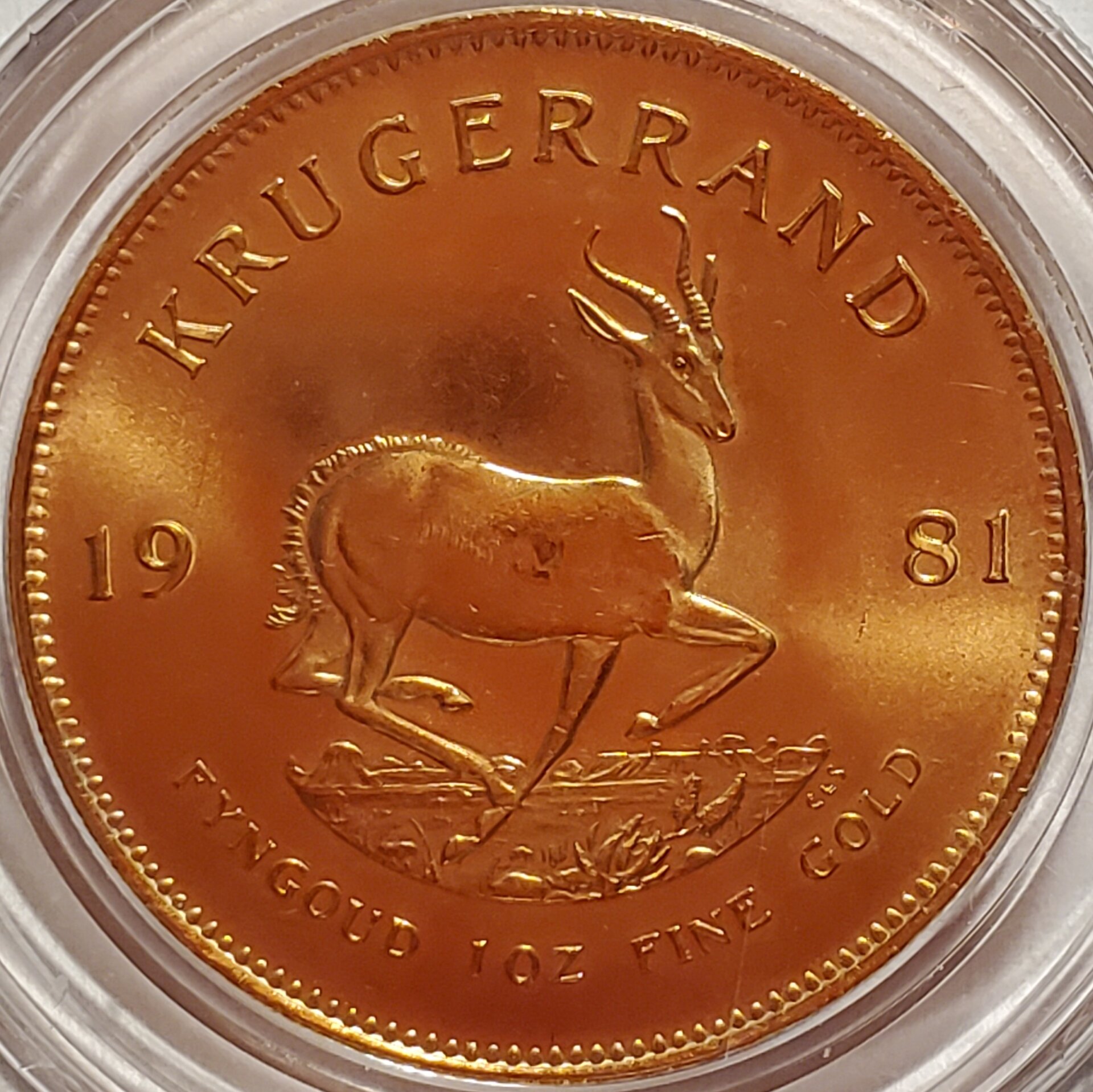 Krugerrand 1981 rev.jpg