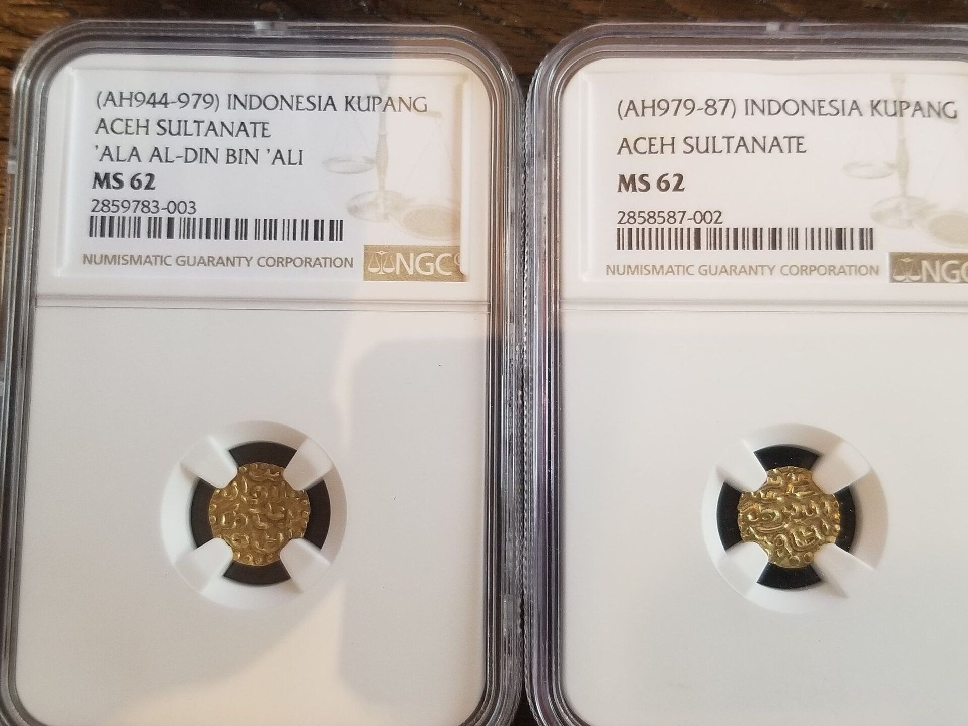 Kupang.jpg