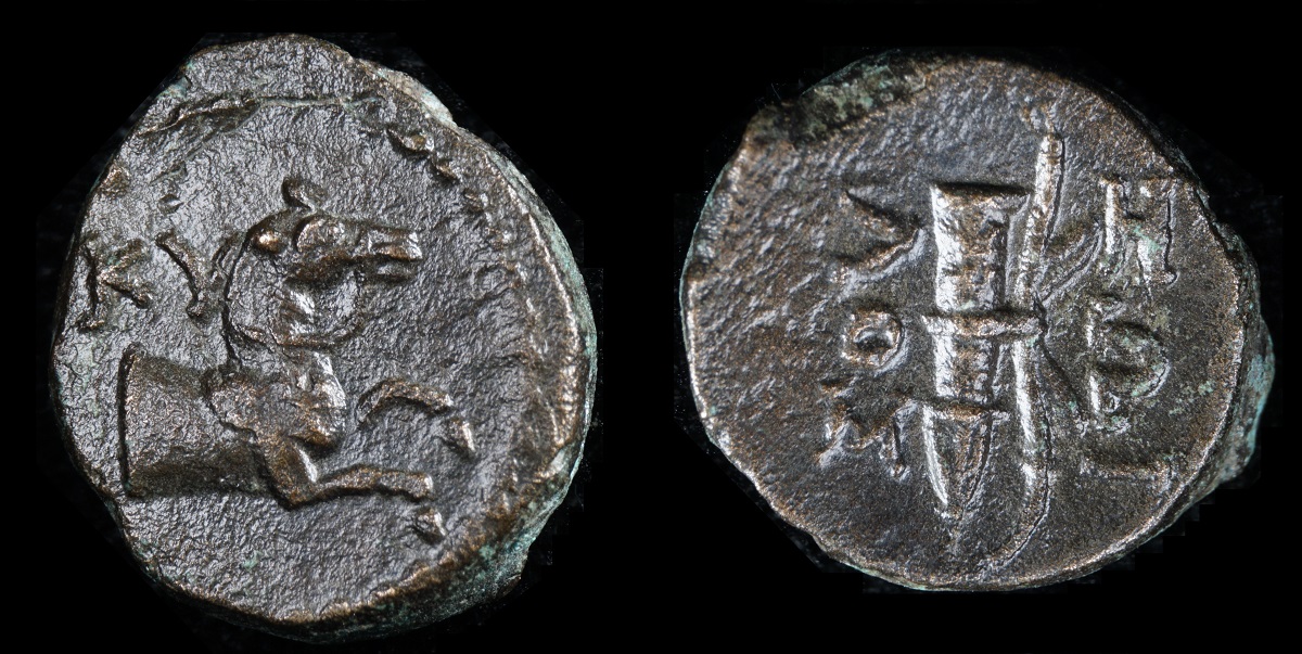Kyme AE 12 1a.jpg