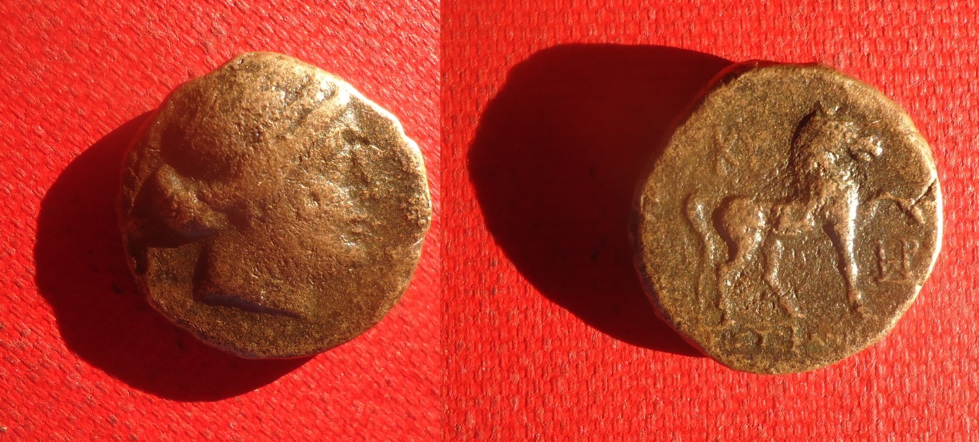 Kyme Aeolis - AE horse Aug 2020 (0a).jpg
