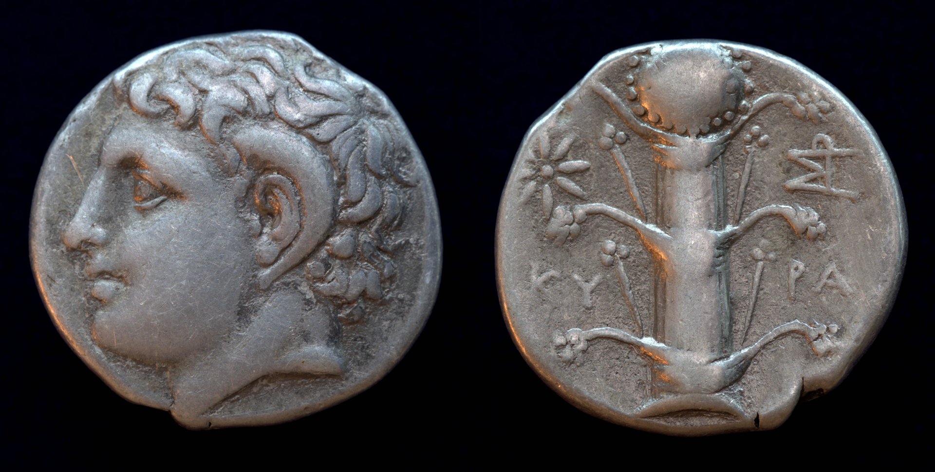 Kyrenaica Kyrene Didrachm.jpg