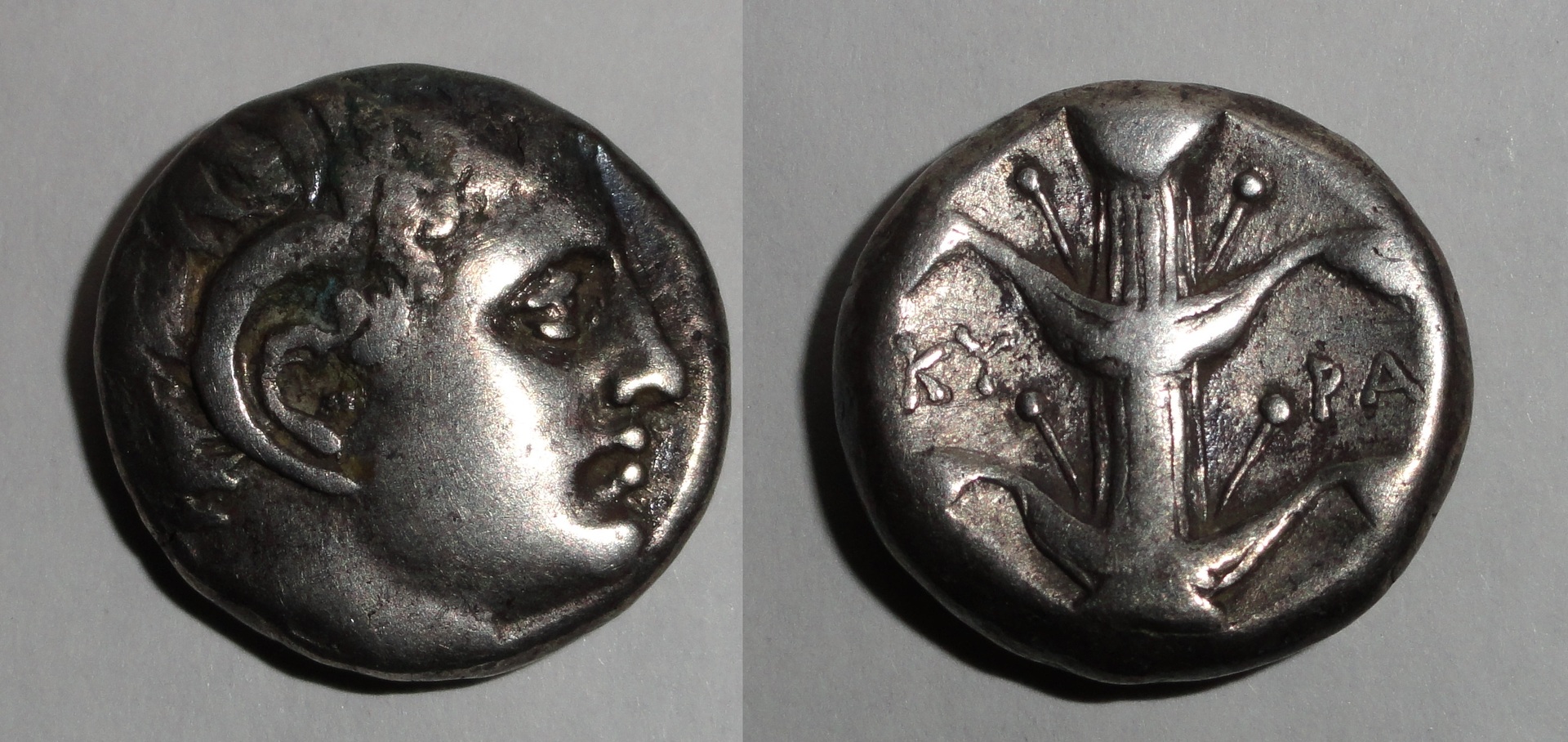 KyreneStater308-277BC7.62g.jpg