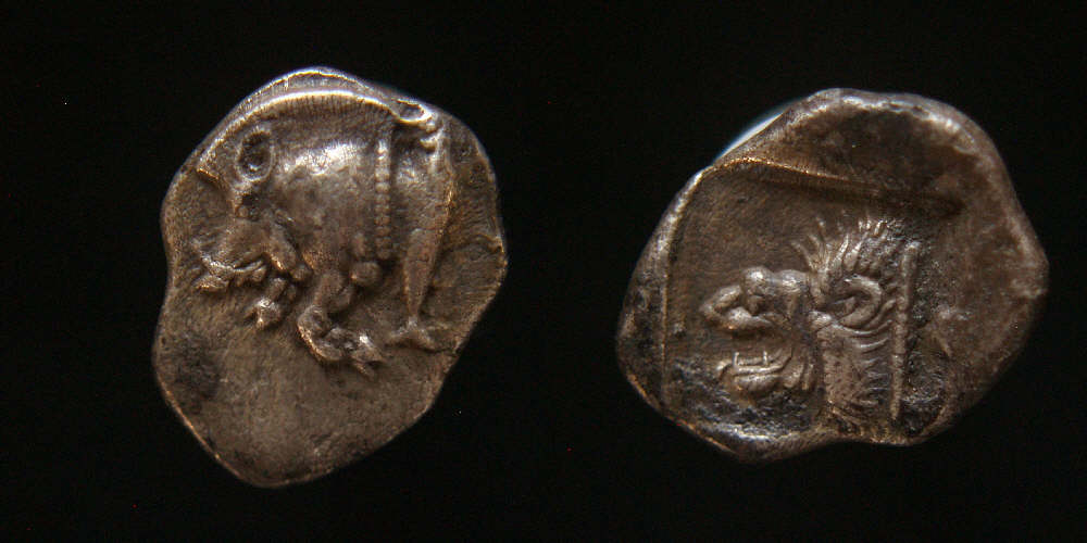 Kyzicos Mysia Boar Lion.JPG