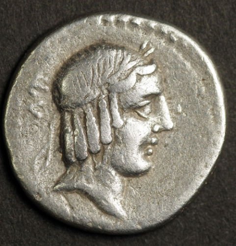 L CALPURNIUS PISO FRUGI 2 OBV.JPG
