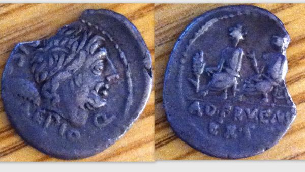 L CALPURNIUS PISO.jpg
