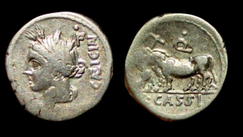 L. CASSIUS CAEICIANUS.jpg