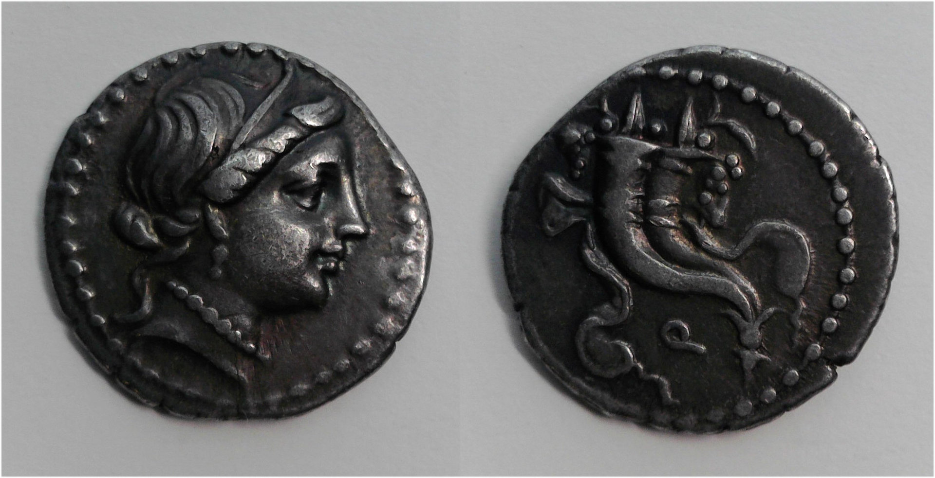 L Cornelius Sulla .jpg