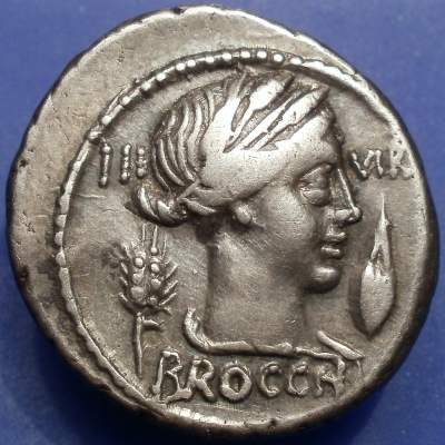 L Furius CNF Brocchus OBV.jpg