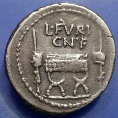 L Furius CNF Brocchus REV.jpg