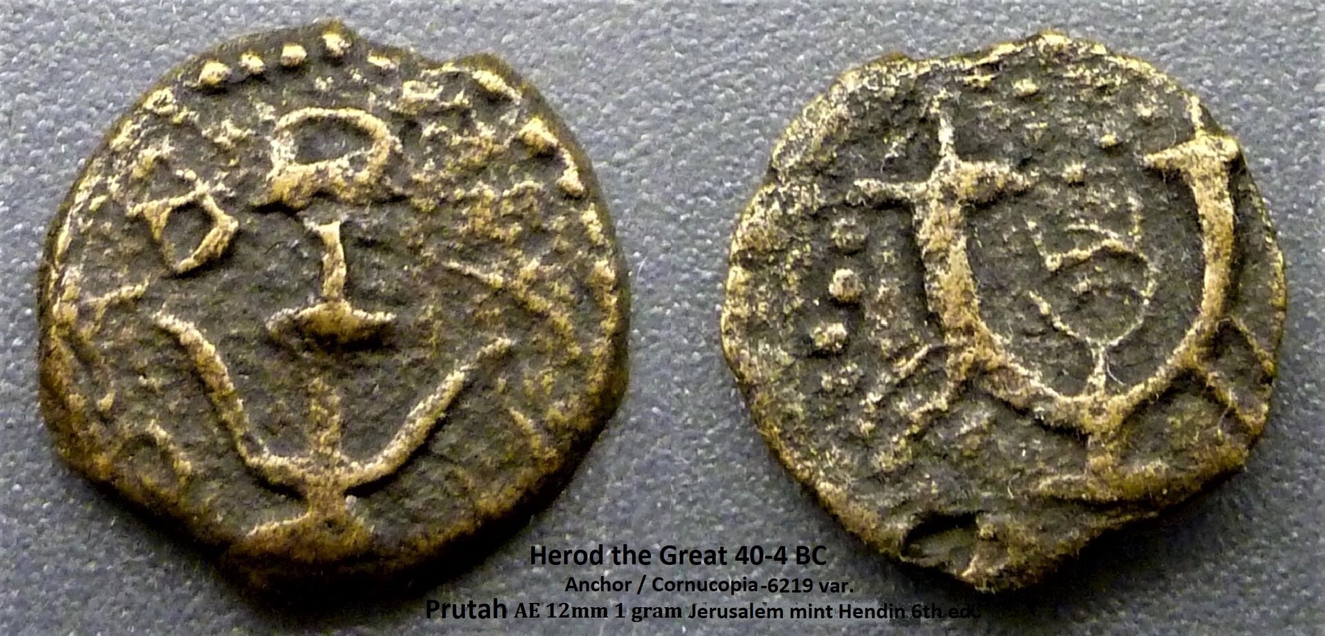 L herod the great prutah.jpg