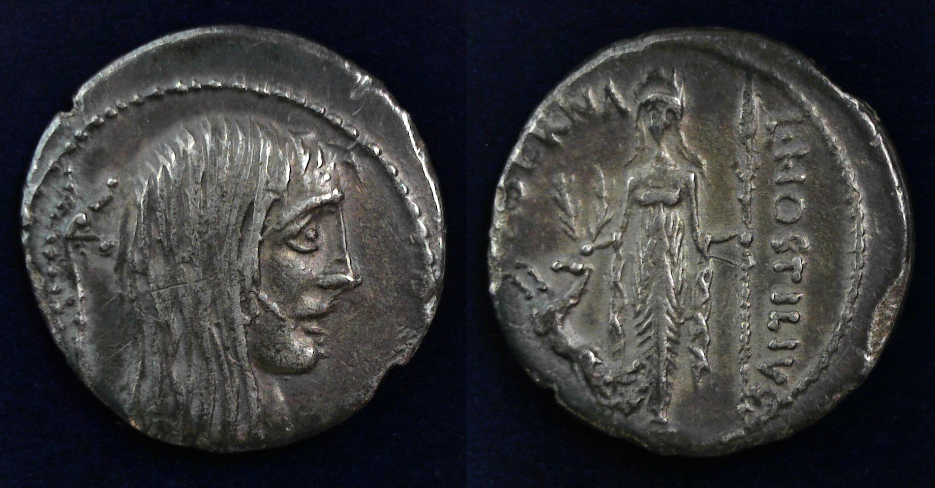 L Hostilia denarius.jpg
