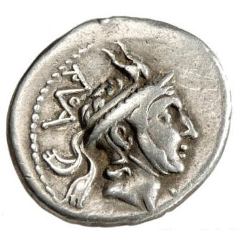 L marcius a.jpg