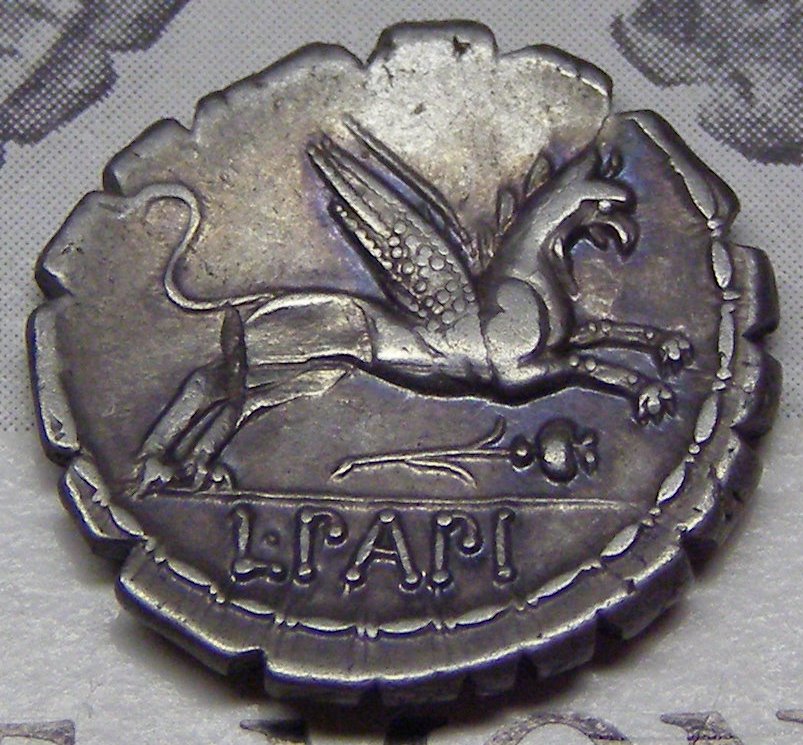 L.PAPI rev cropped.JPG