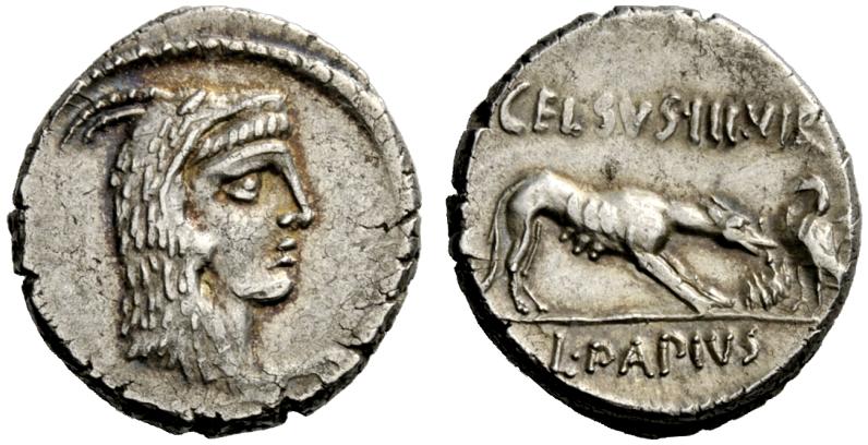L Papius Celsus NAC 13.jpg