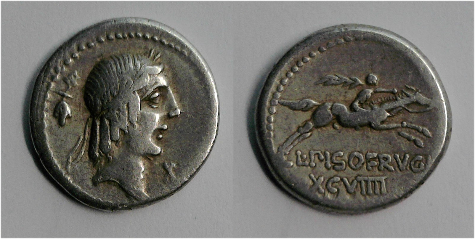 L Piso Frugi num.jpg