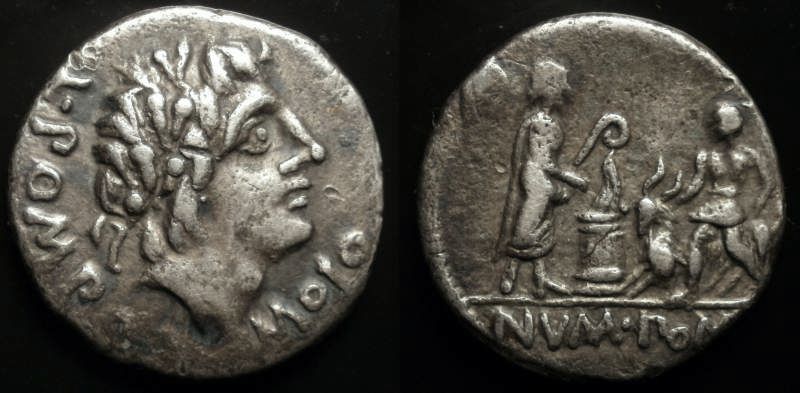 L Pompomius Molo b.jpg