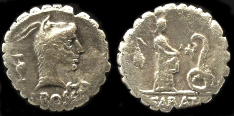 L ROSCIUS FABATUS.jpg