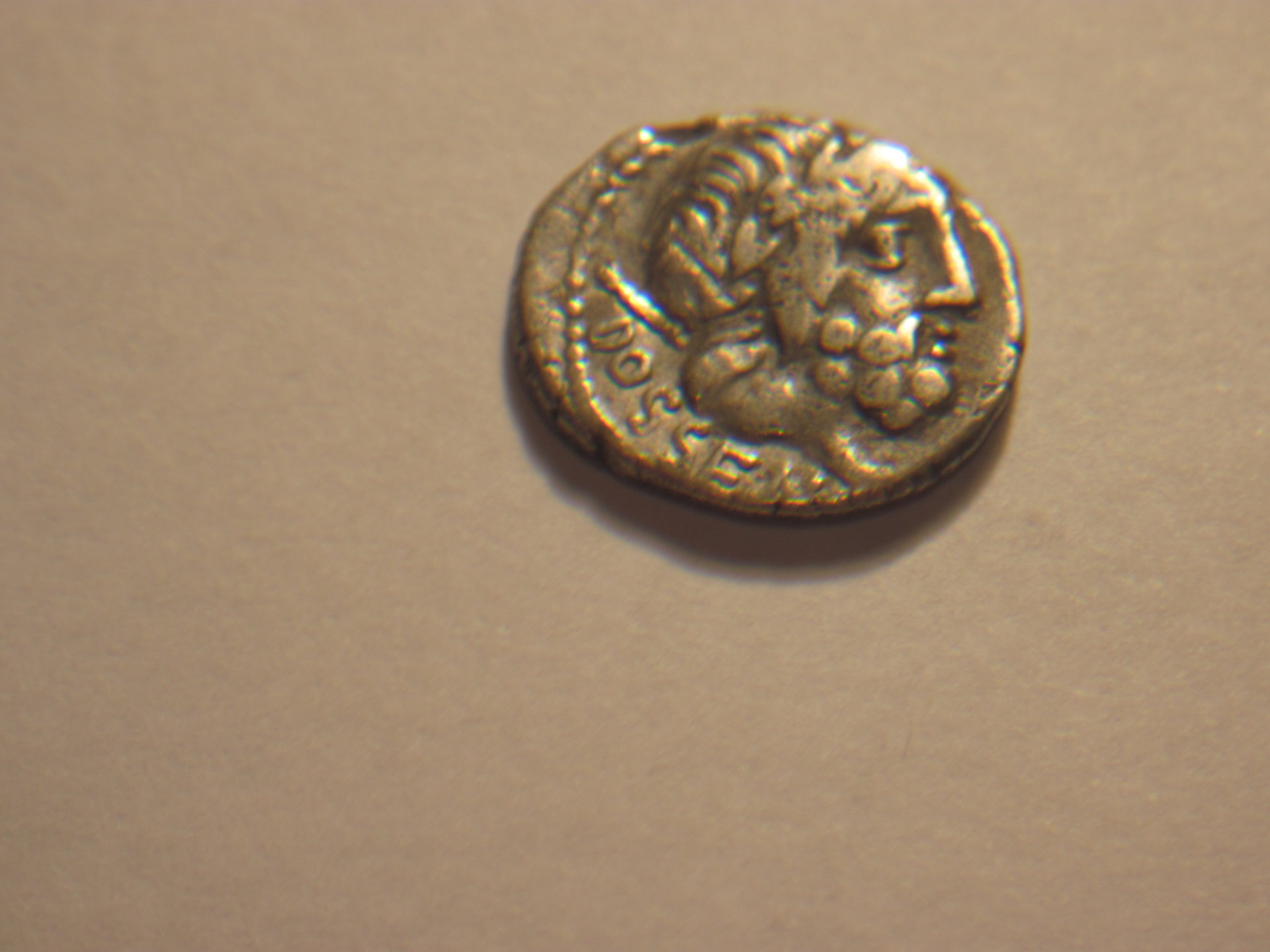 L Rubrius Dossenus 001.JPG
