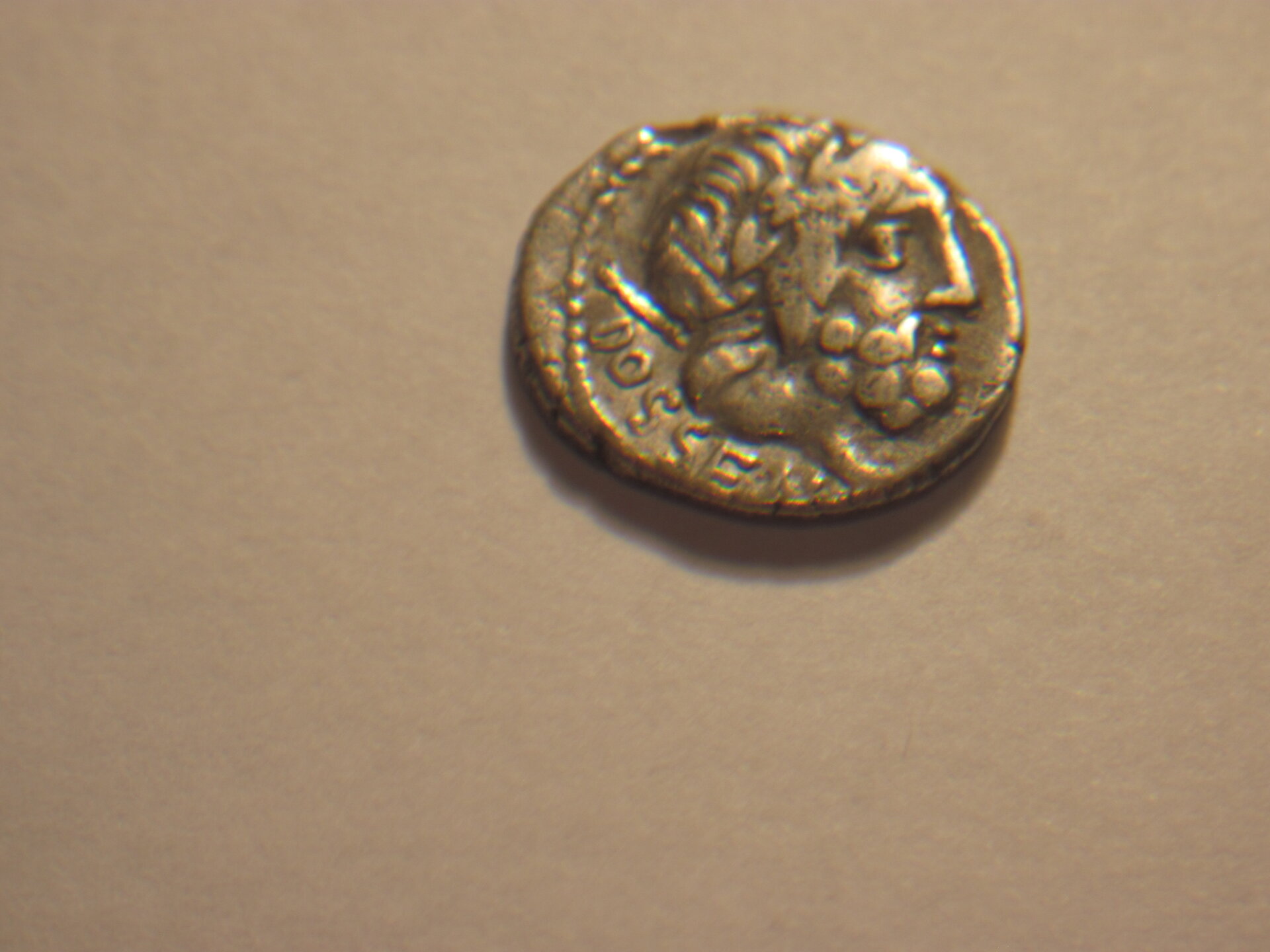 L Rubrius Dossenus 001.JPG